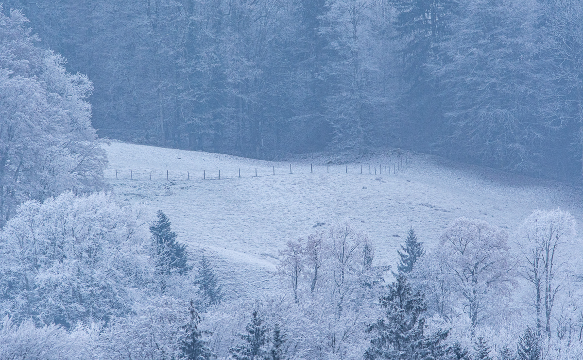 DSC_1316.jpg