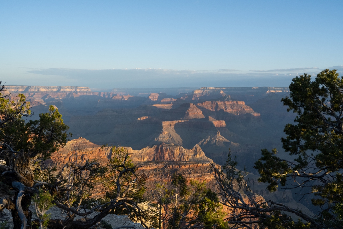 DSC_1316.jpg