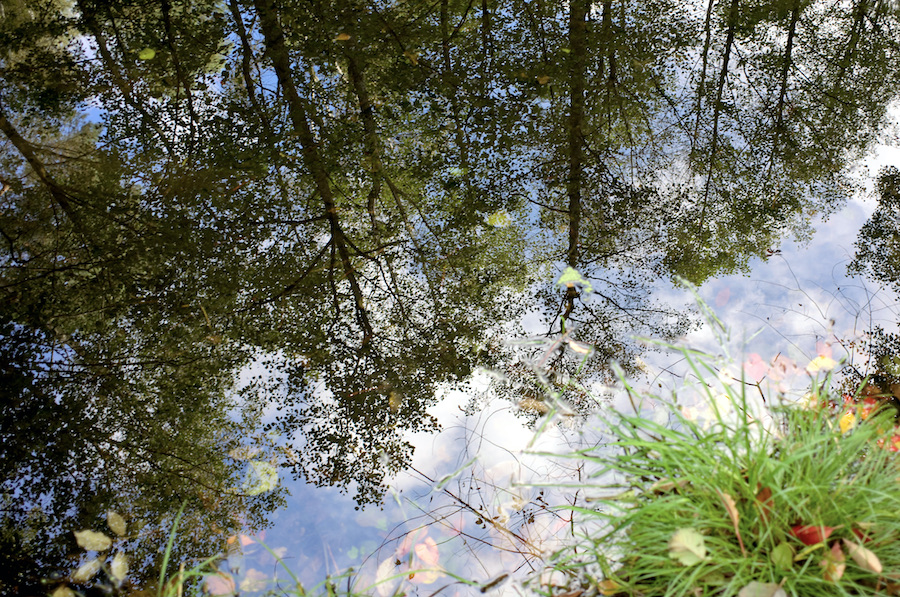 DSC_1321.jpeg