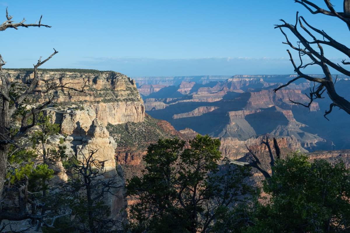 DSC_1335.jpg