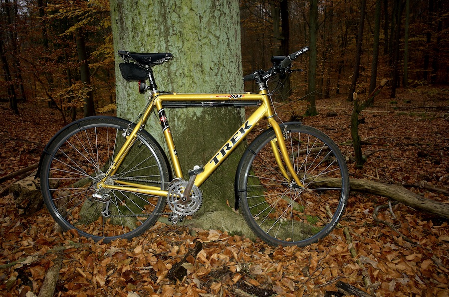 DSC_1343 Kopie.jpeg