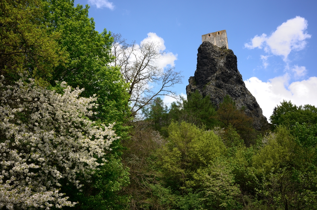 DSC_1360_00013n.jpg