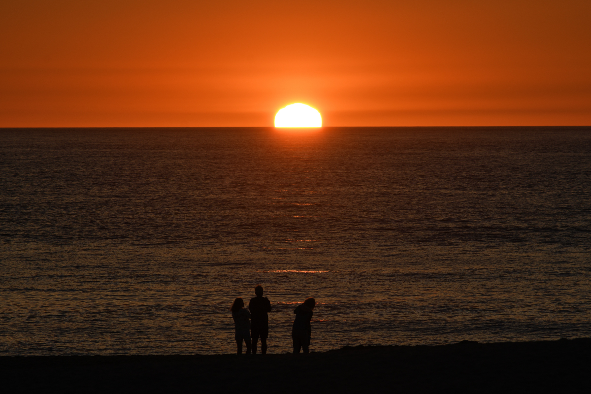 DSC_1365_01.JPG