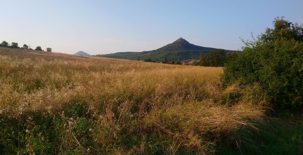 DSC_1366nn.jpg