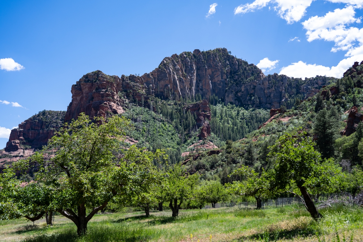DSC_1378.jpg