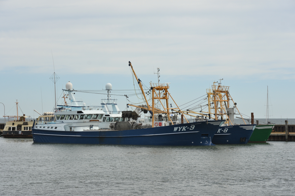 DSC_1379.JPG