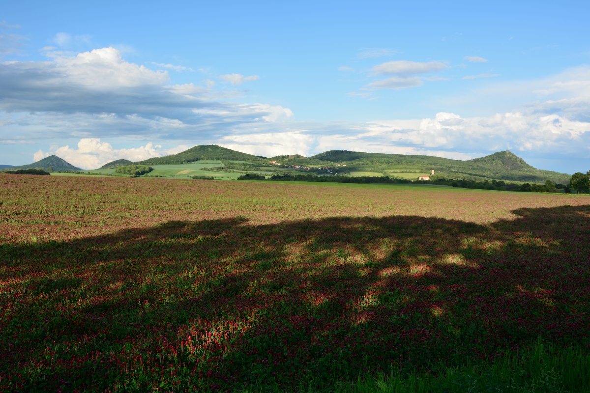 DSC_1394_00001n.jpg