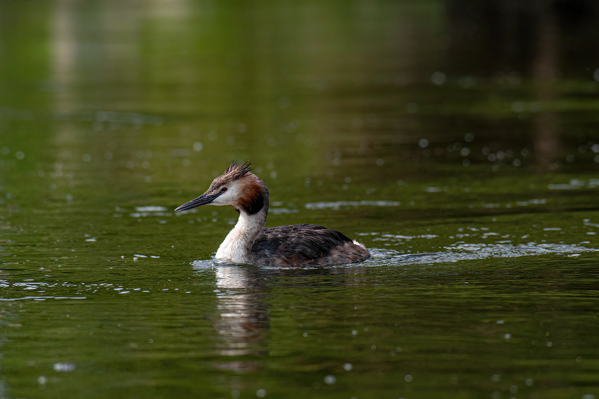 DSC_1402.jpg