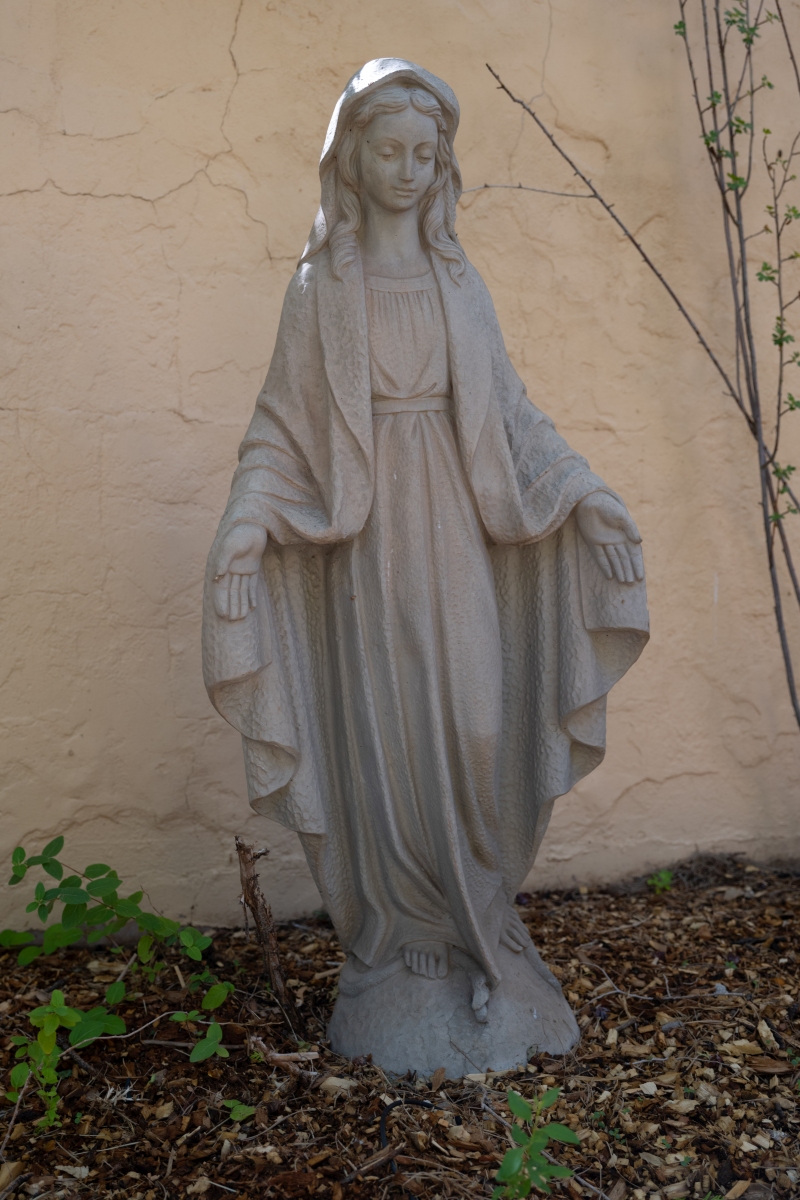 DSC_1403.jpg