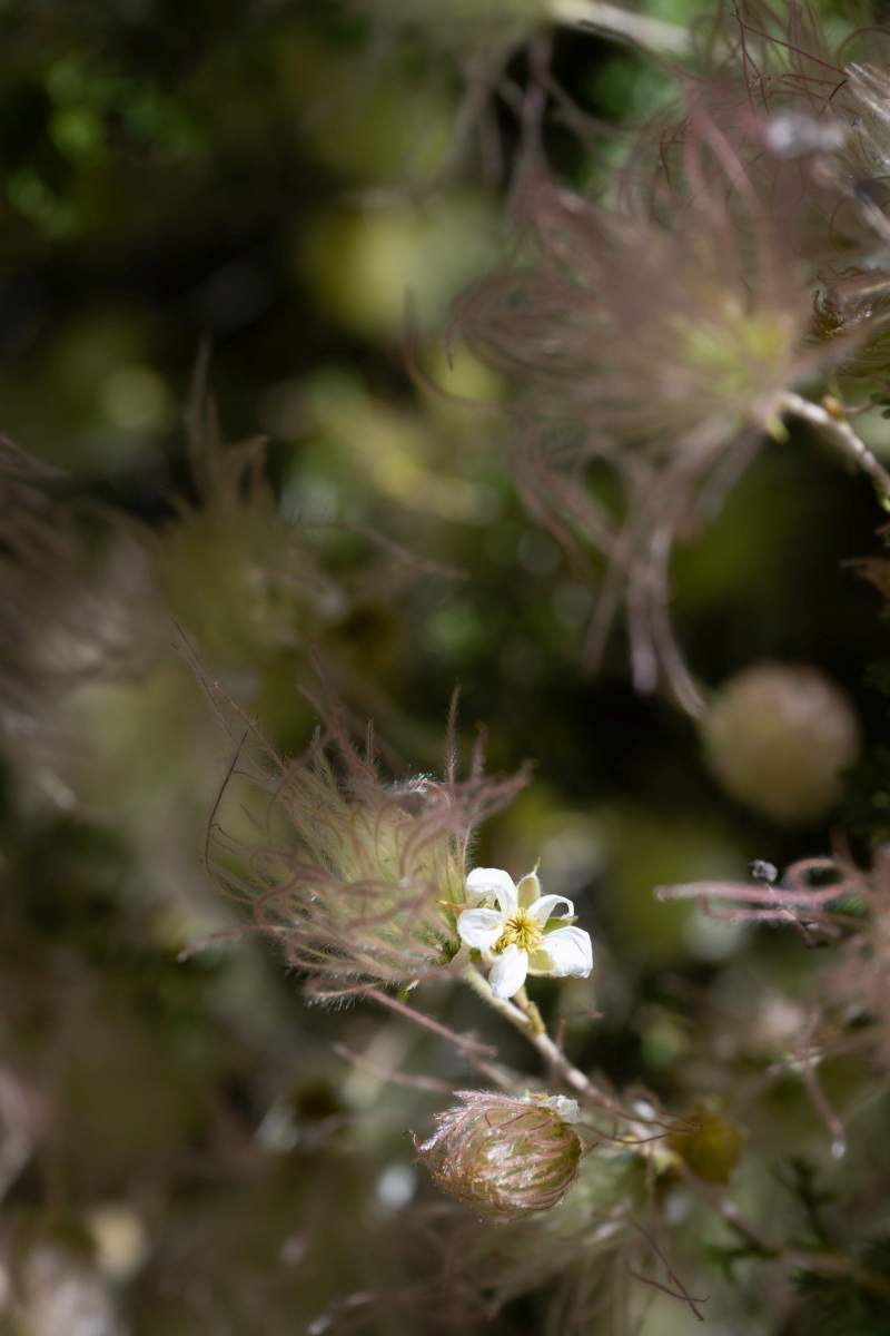 DSC_1405.jpg