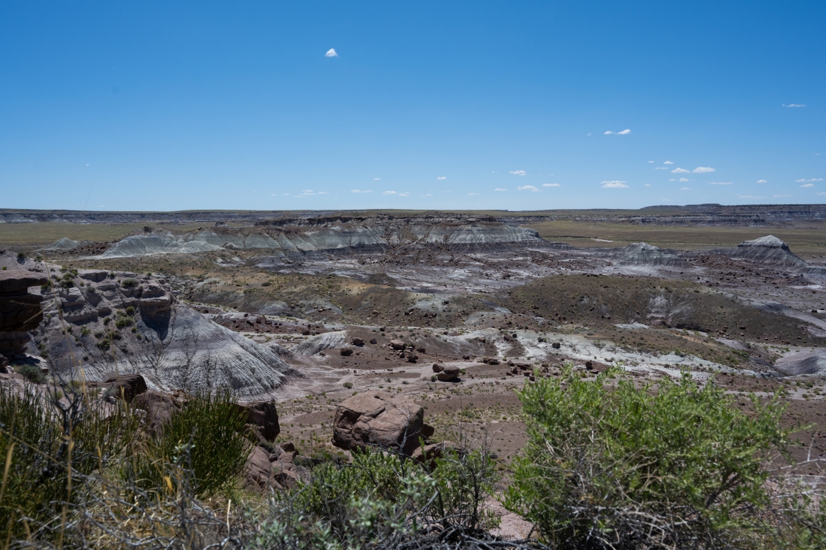 DSC_1436.jpg