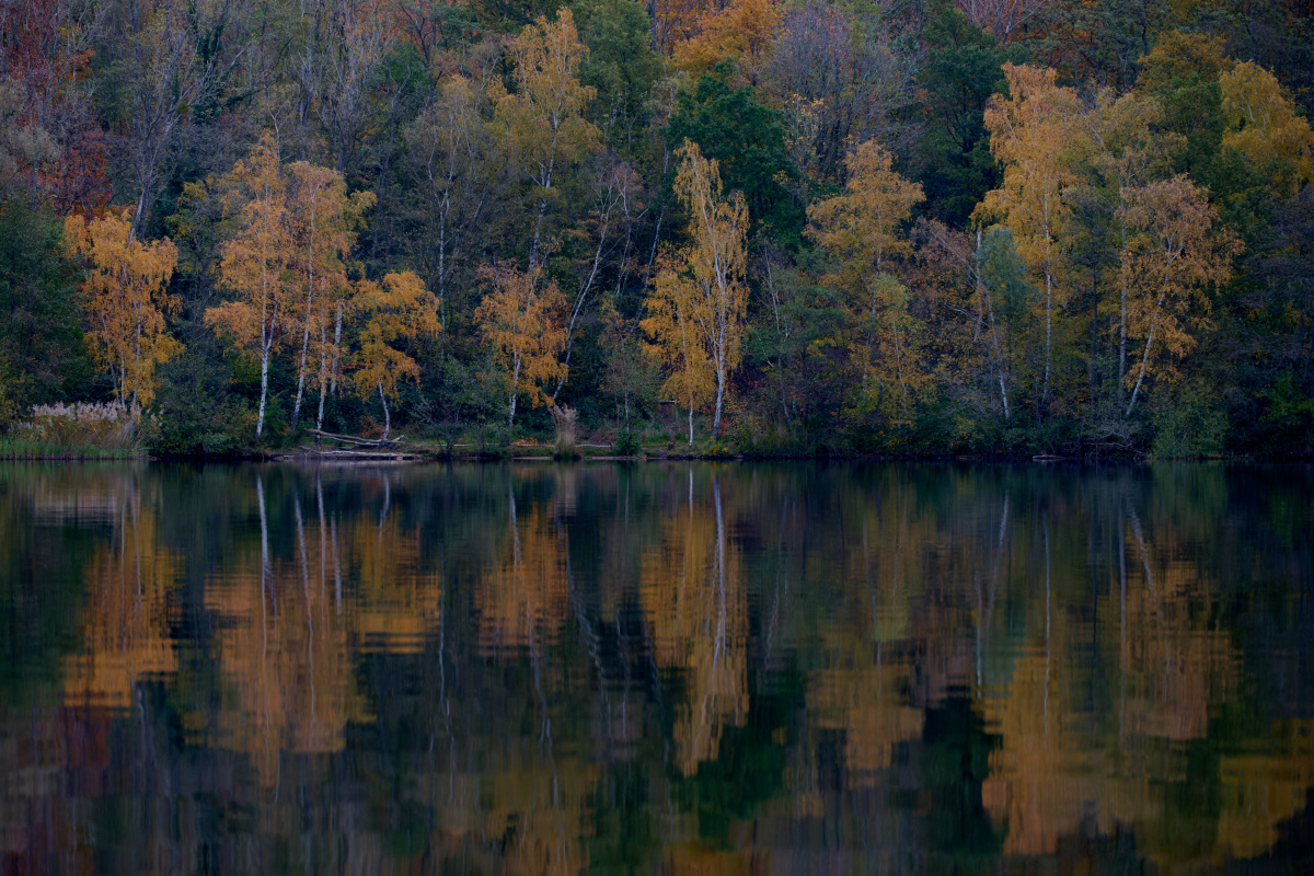 DSC_1437.jpg