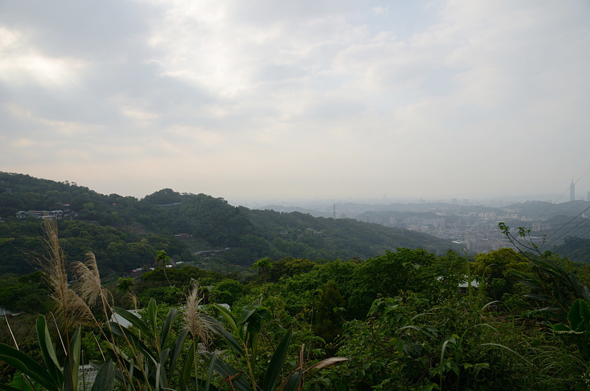 DSC_1437_klein.JPG