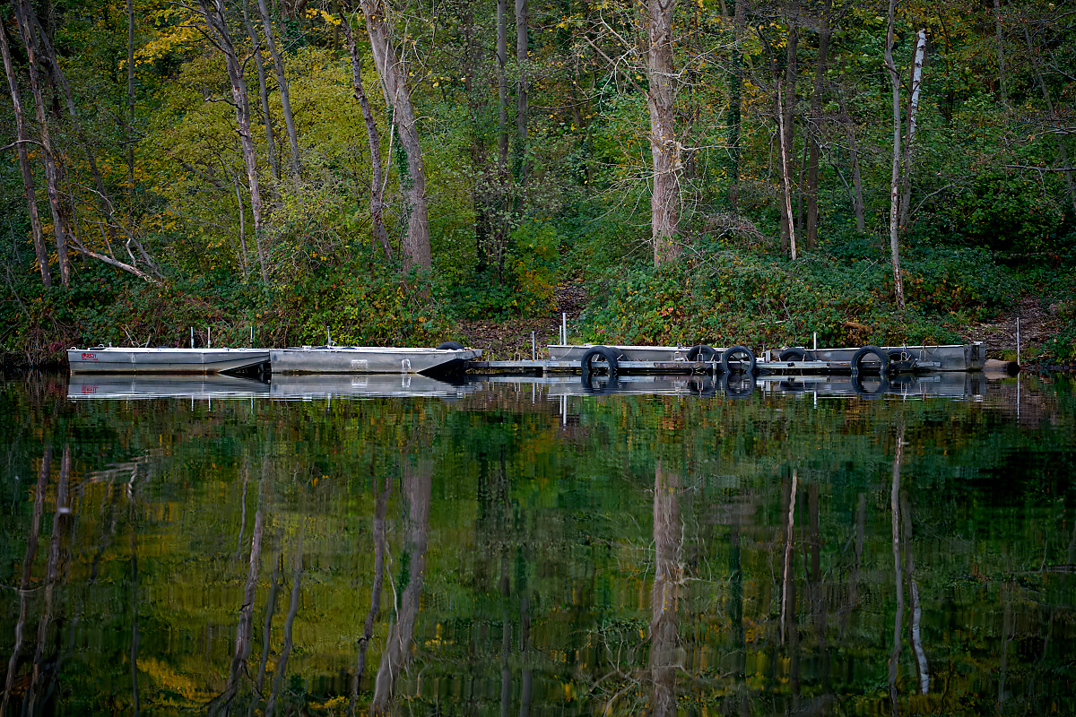 DSC_1444.jpg
