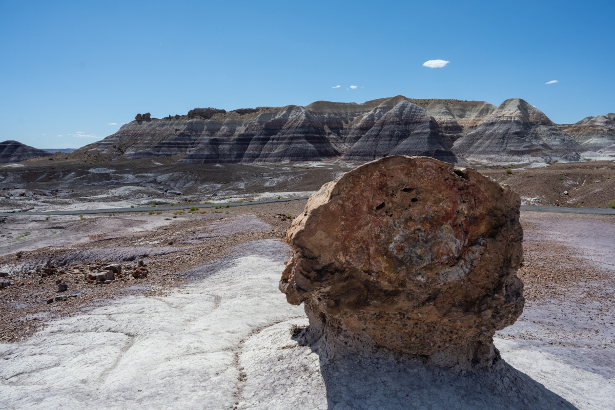 DSC_1447.jpg