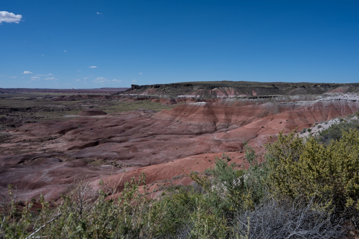 DSC_1451.jpg