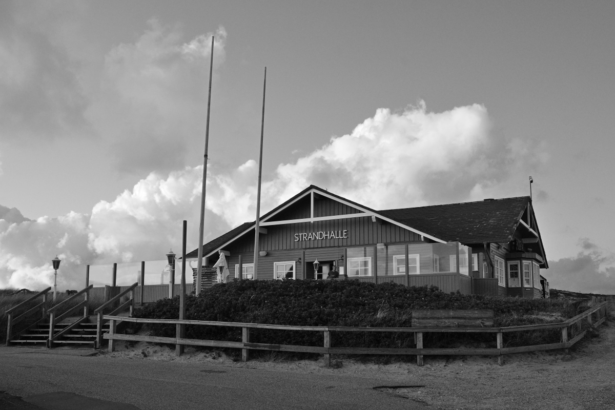 DSC_1451.JPG