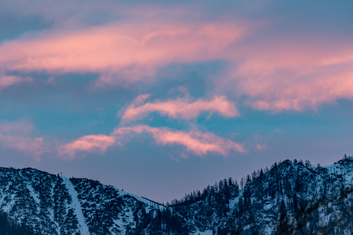 DSC_1463.jpg