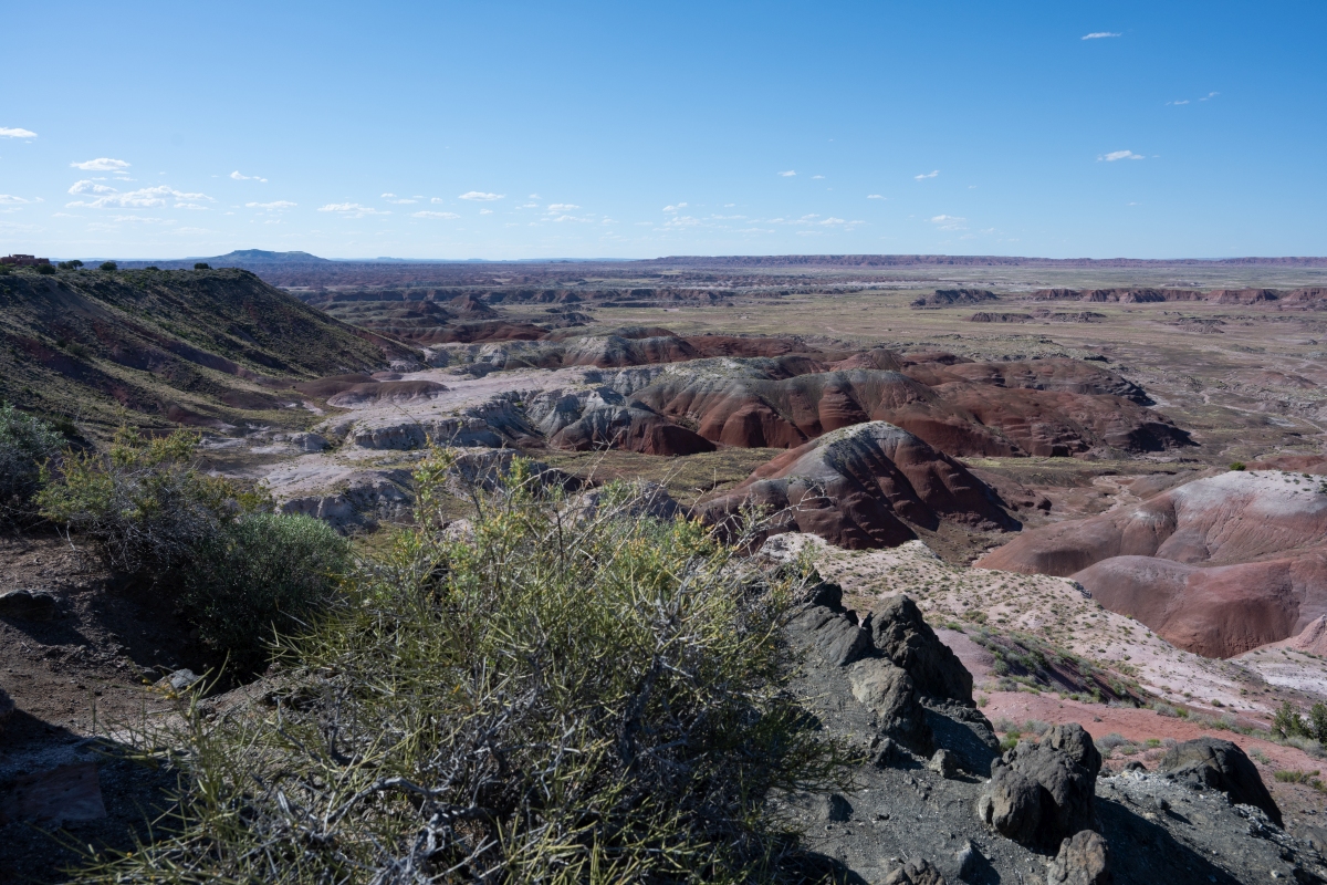 DSC_1469.jpg