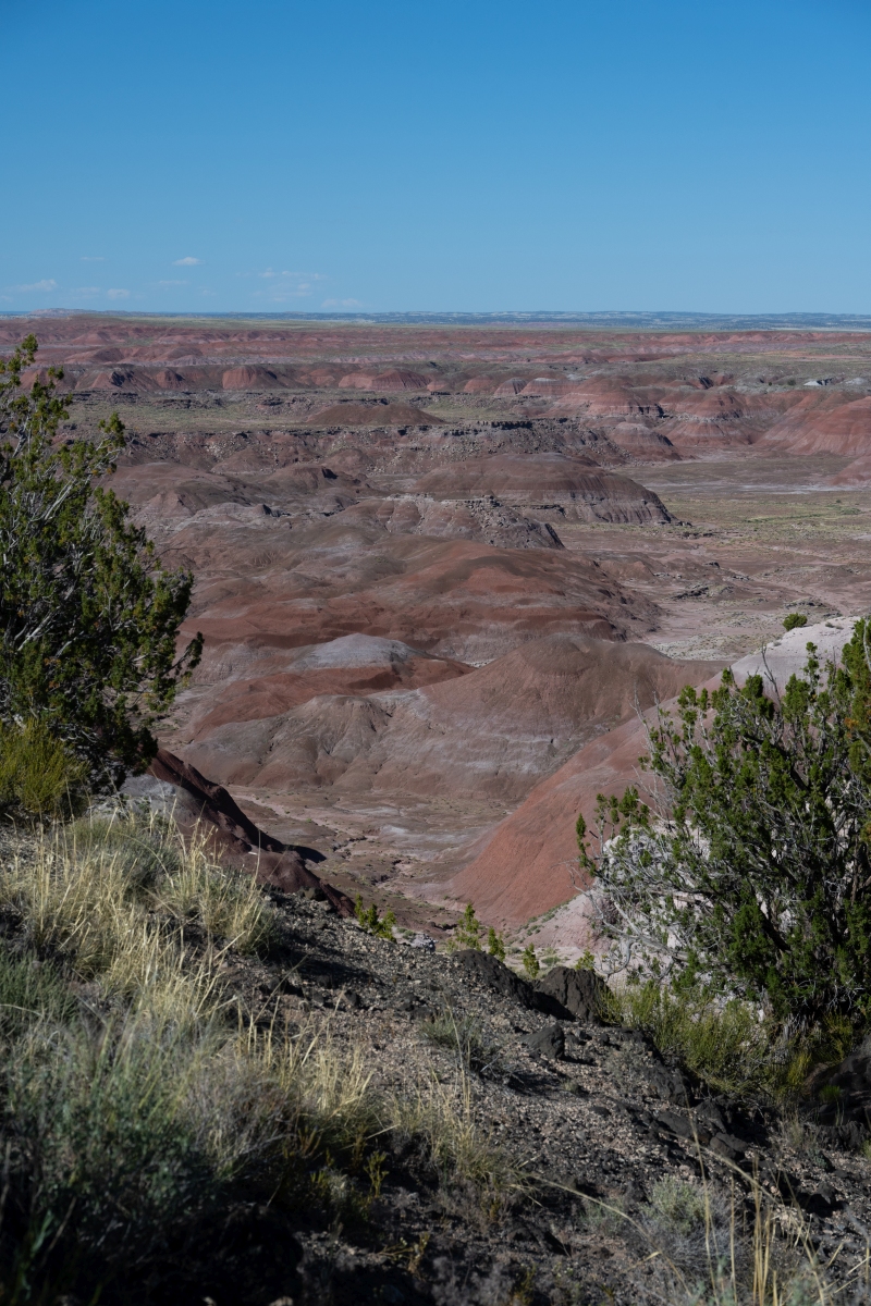 DSC_1471.jpg