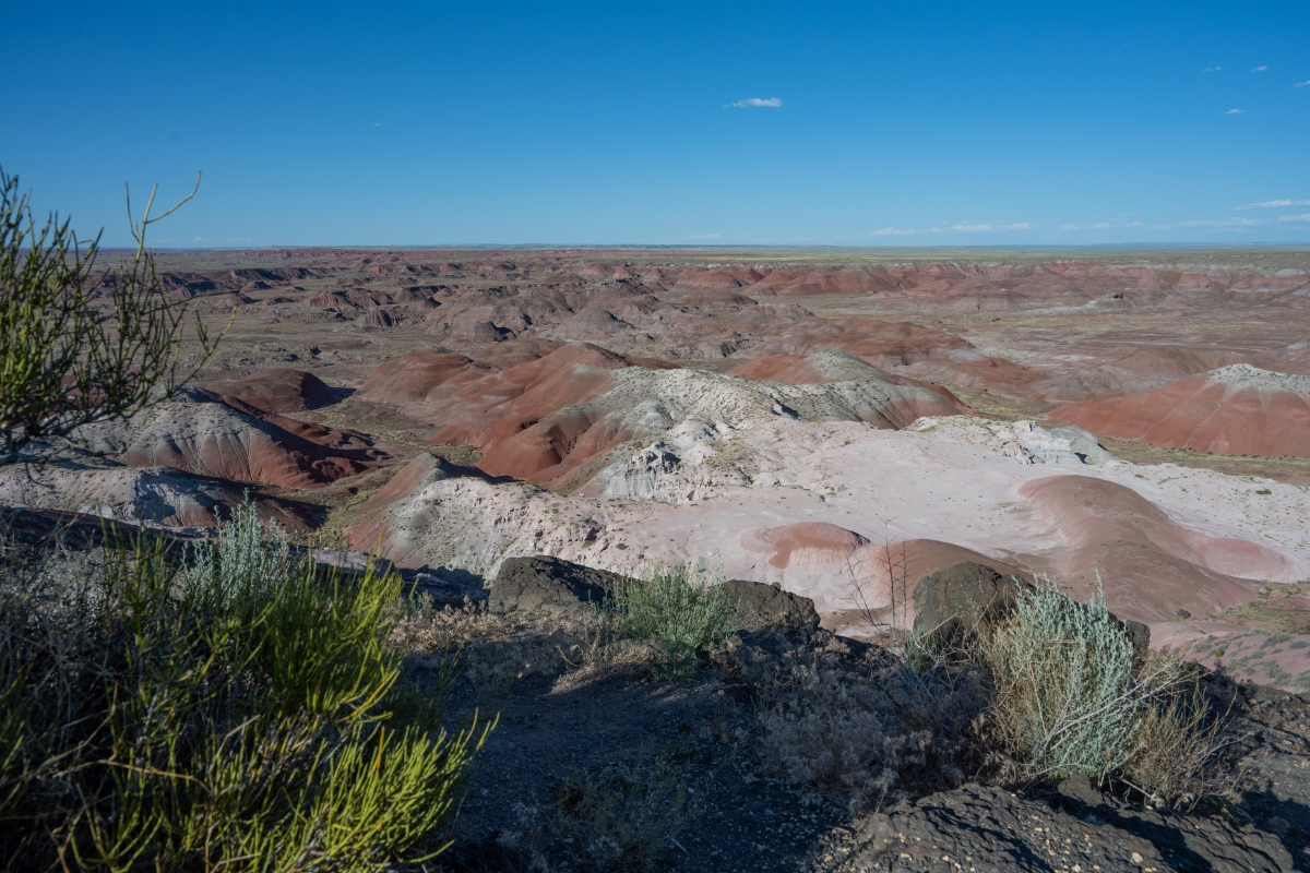 DSC_1472.jpg