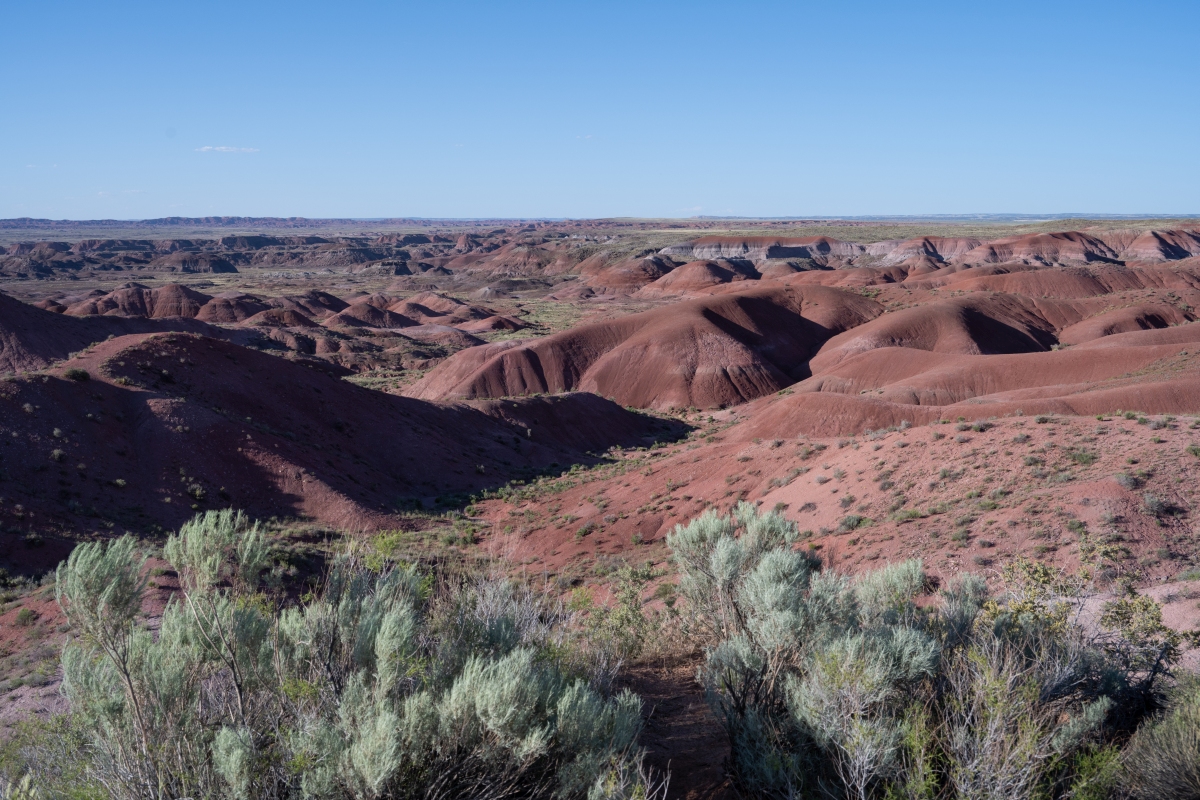 DSC_1476.jpg