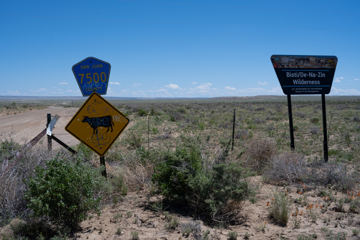 DSC_1481.jpg