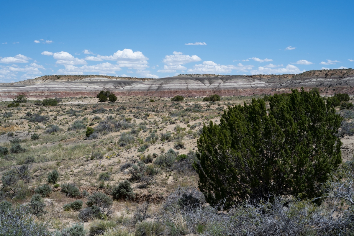 DSC_1485.jpg