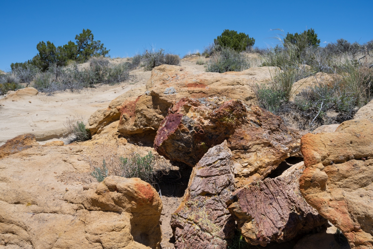DSC_1487.jpg