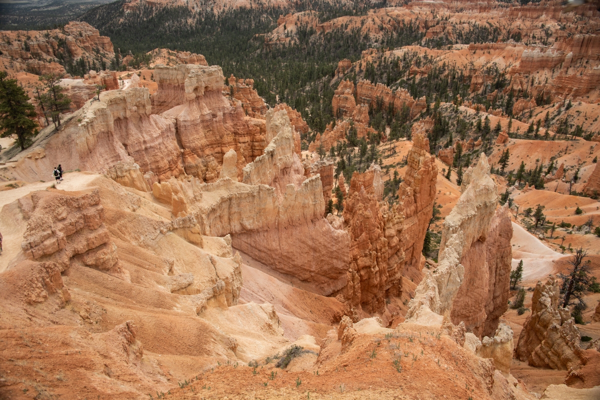 DSC_1488.jpg