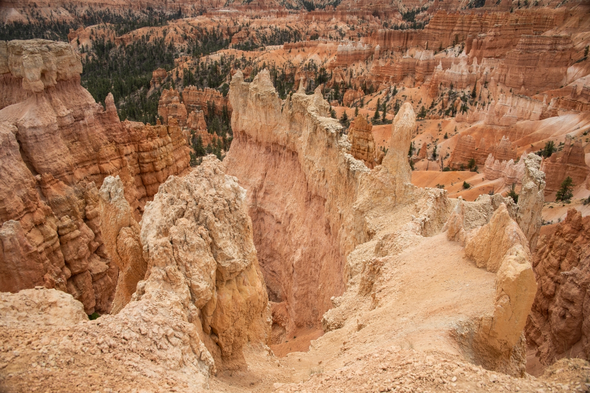 DSC_1489.jpg