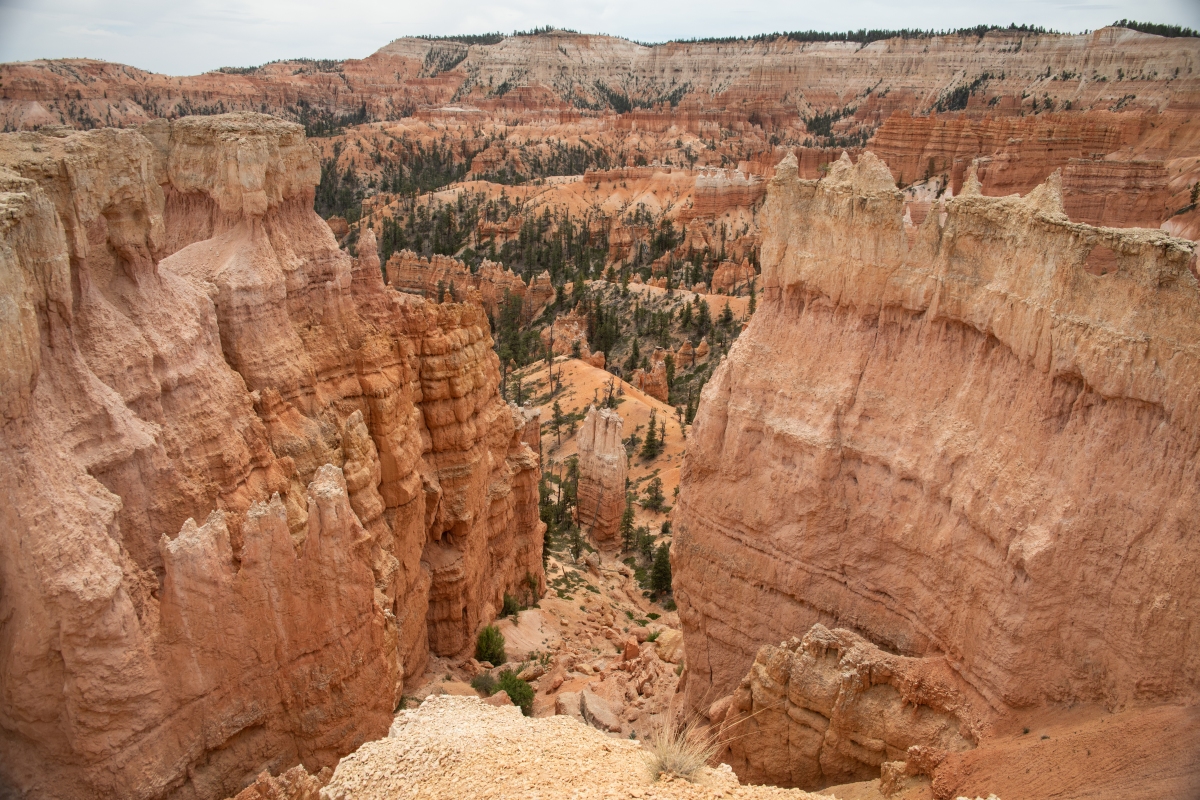 DSC_1490.jpg