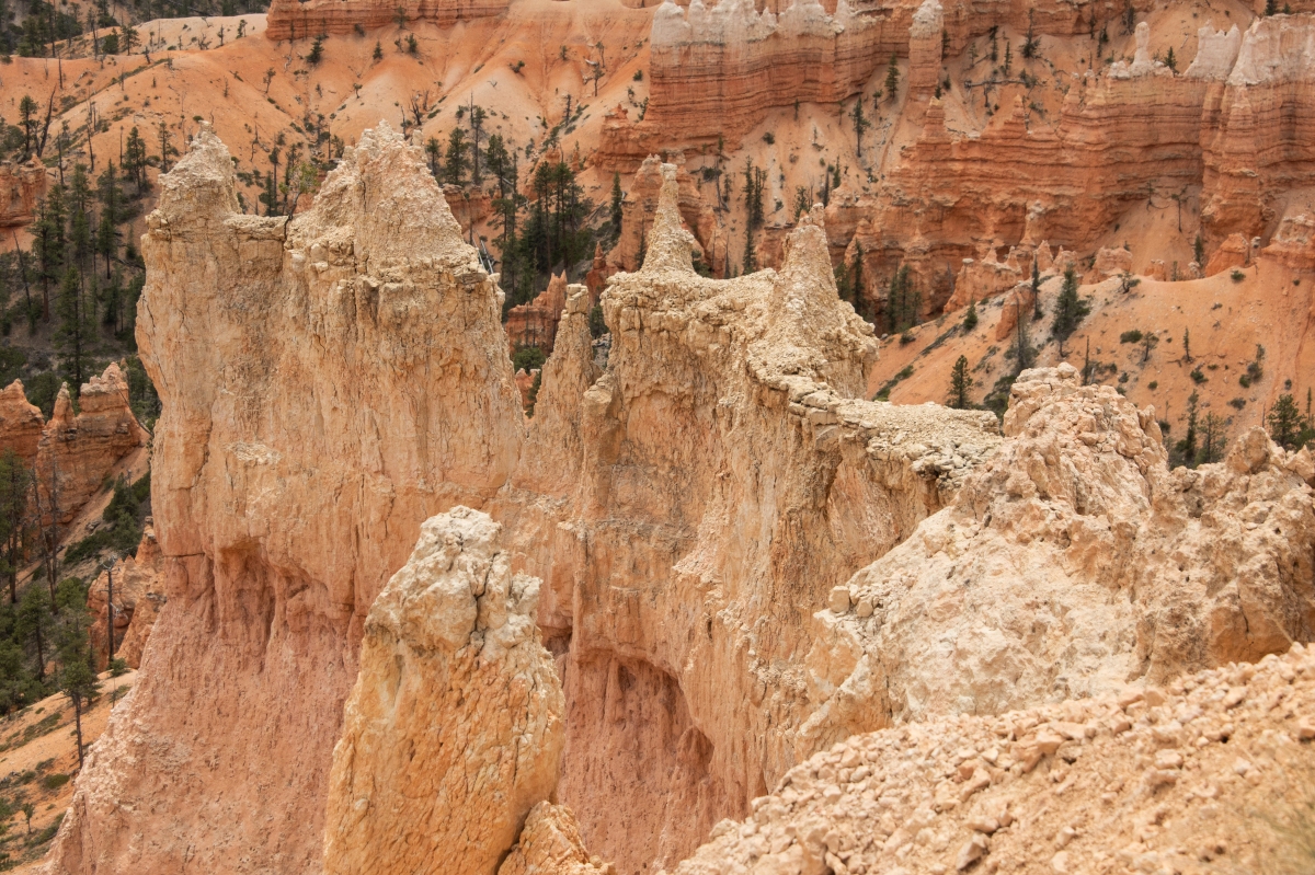 DSC_1492.jpg