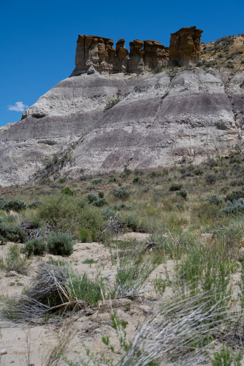 DSC_1494.jpg