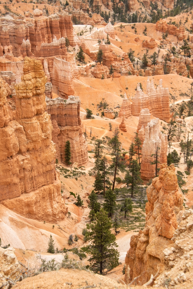 DSC_1495.jpg