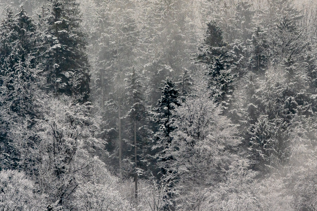 DSC_1504-2.jpg