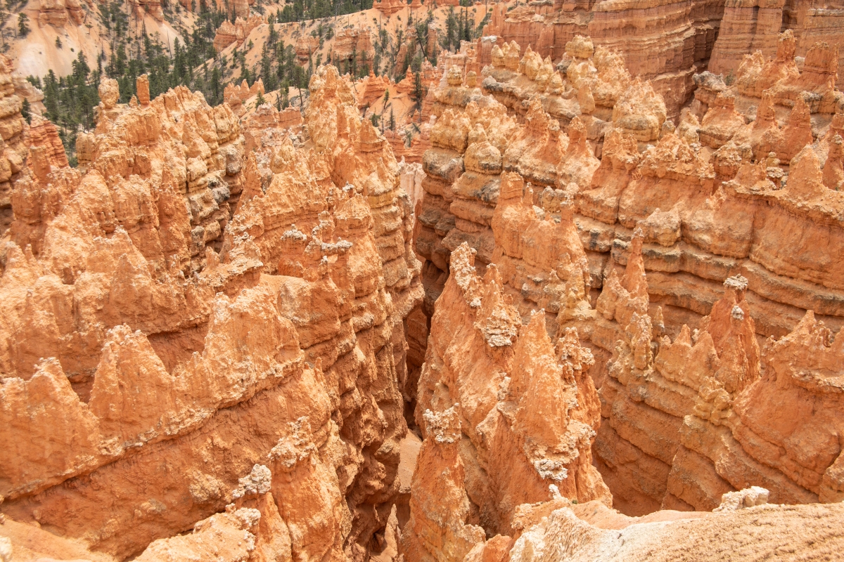 DSC_1505.jpg