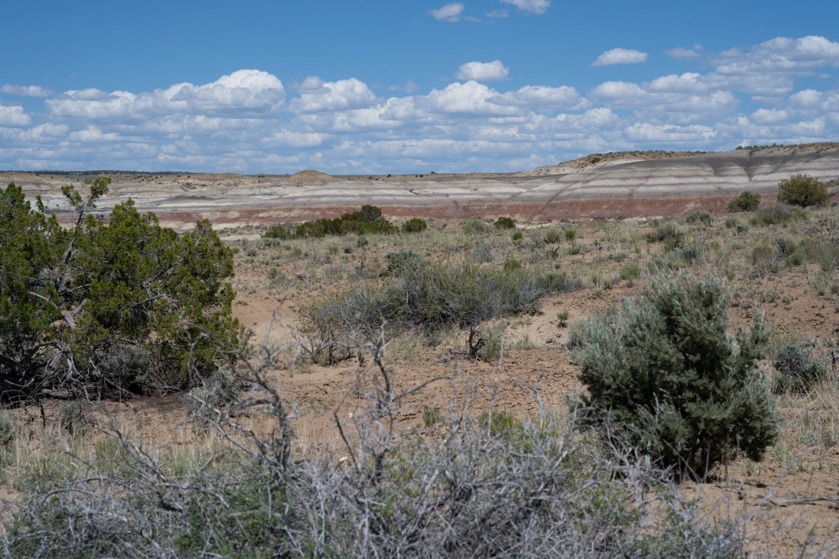 DSC_1508.jpg