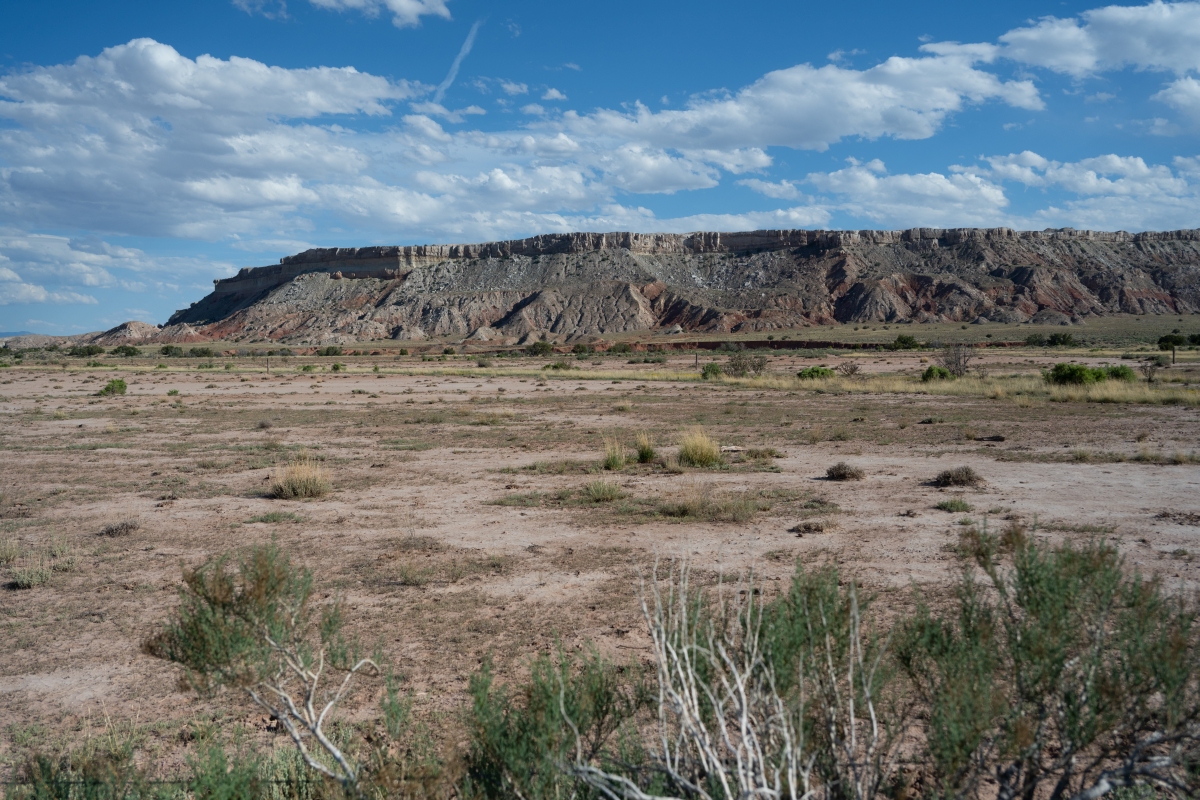 DSC_1510.jpg