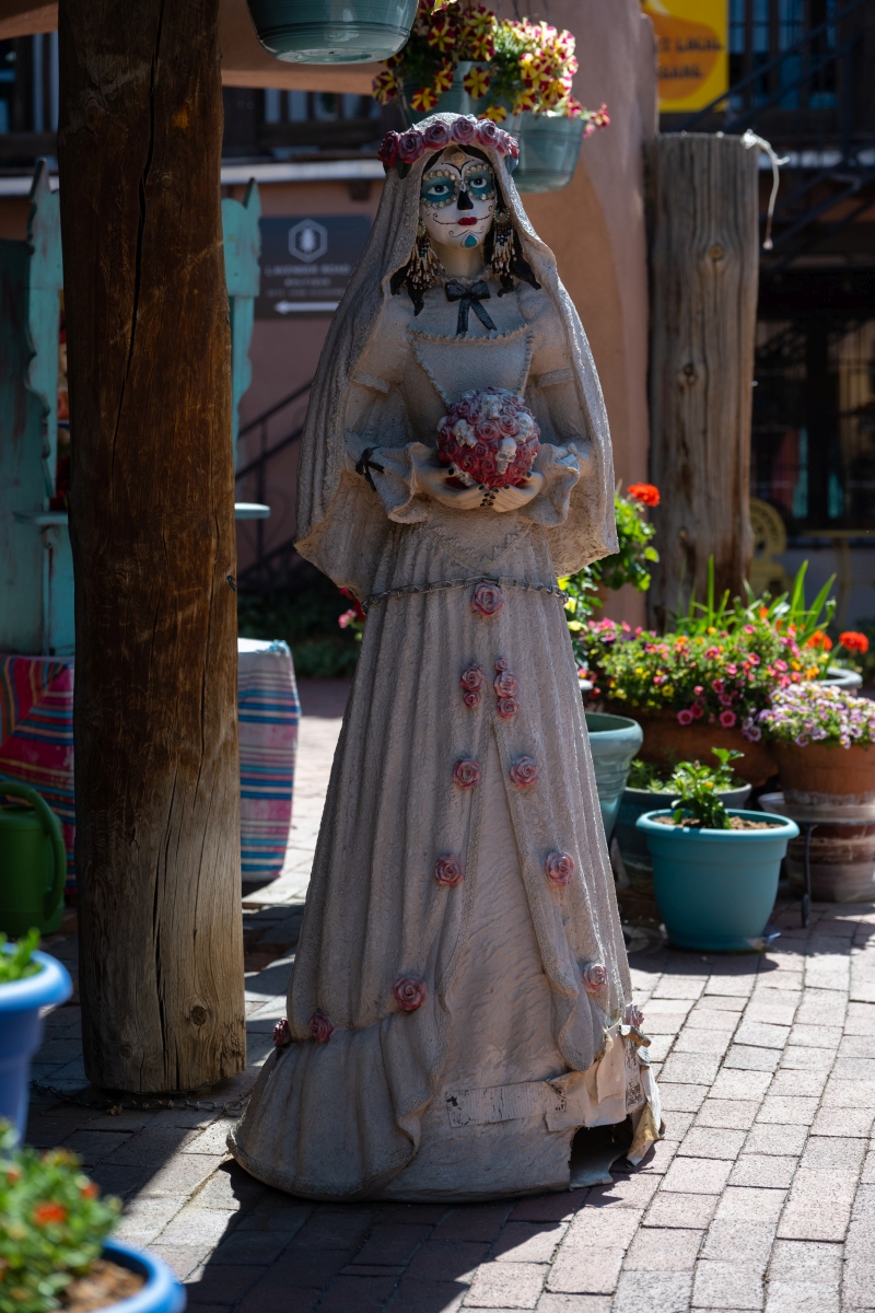 DSC_1527.jpg