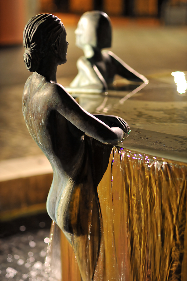 DSC_1529.jpg