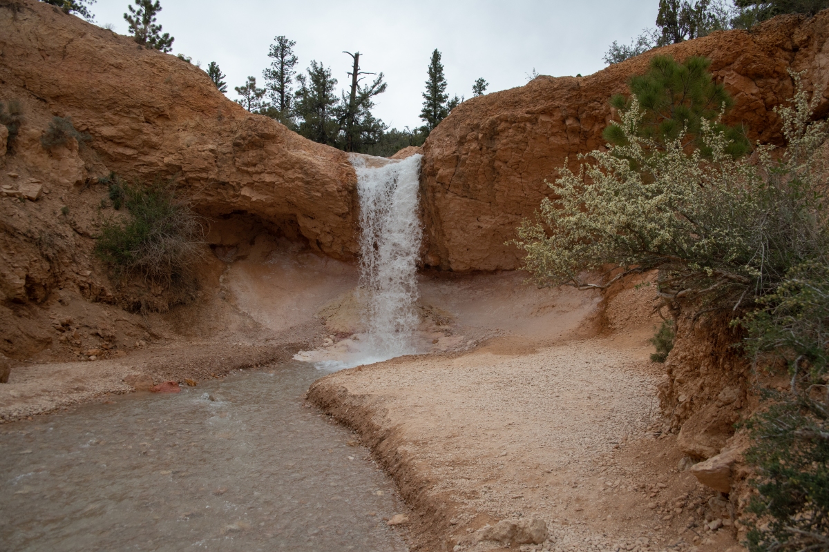 DSC_1534.jpg
