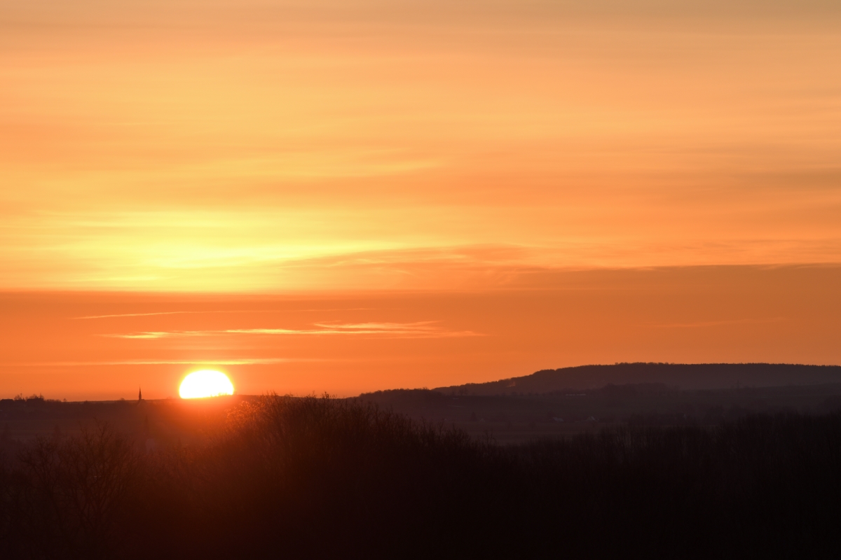 DSC_1554_00001_09n.jpg
