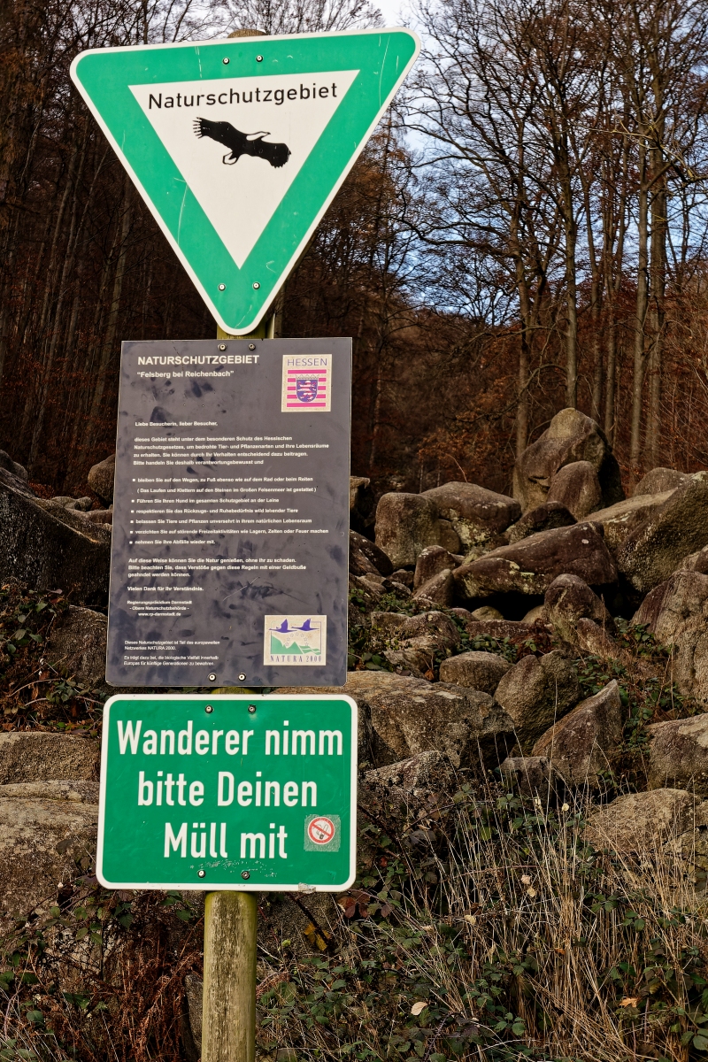DSC_1584.jpg