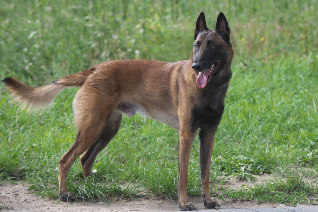 DSC_1591.jpg