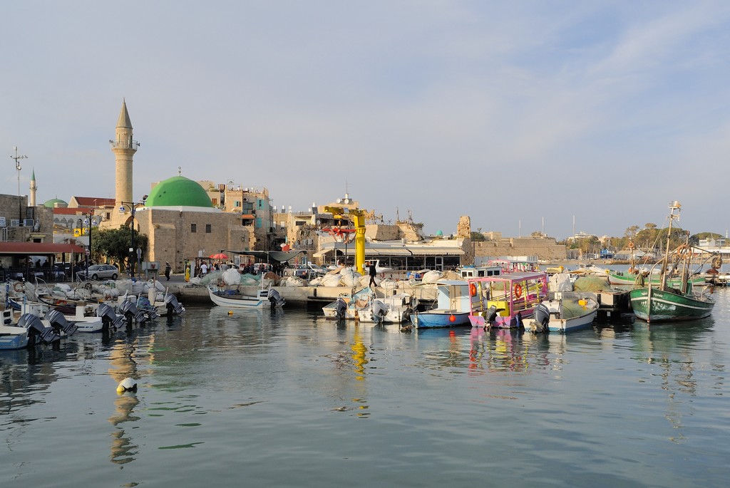 DSC_1597.jpg