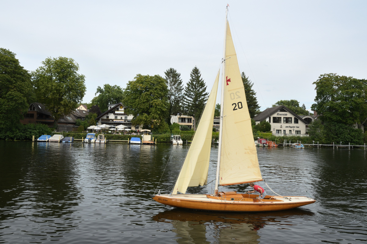 DSC_1630.JPG