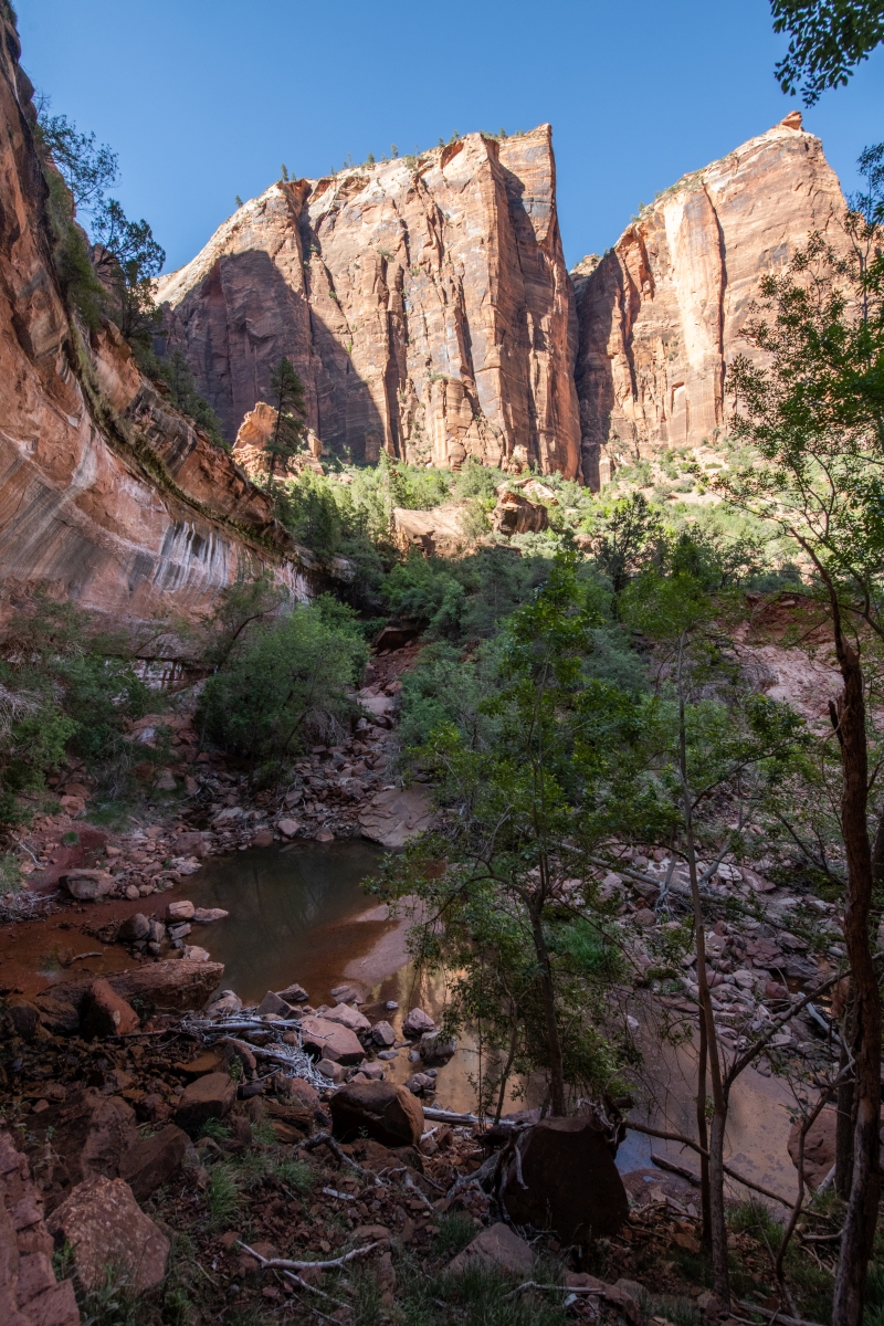 DSC_1631.jpg