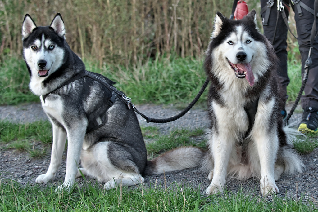 DSC_1636 Kopie.jpg