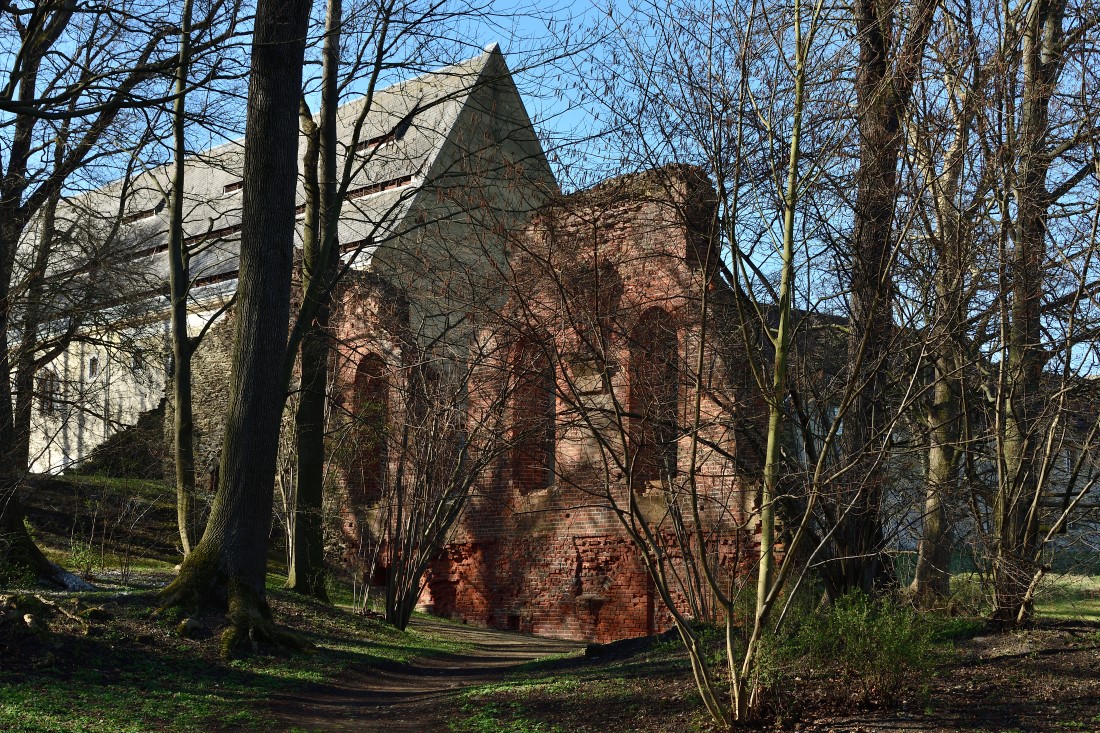 DSC_1647_00001n1.jpg